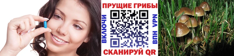 как найти   Химки  Псилоцибиновые грибы мухоморы 