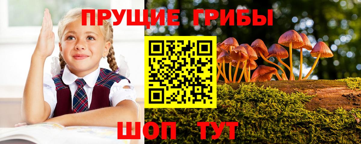 Галлюциногенные грибы мицелий Химки