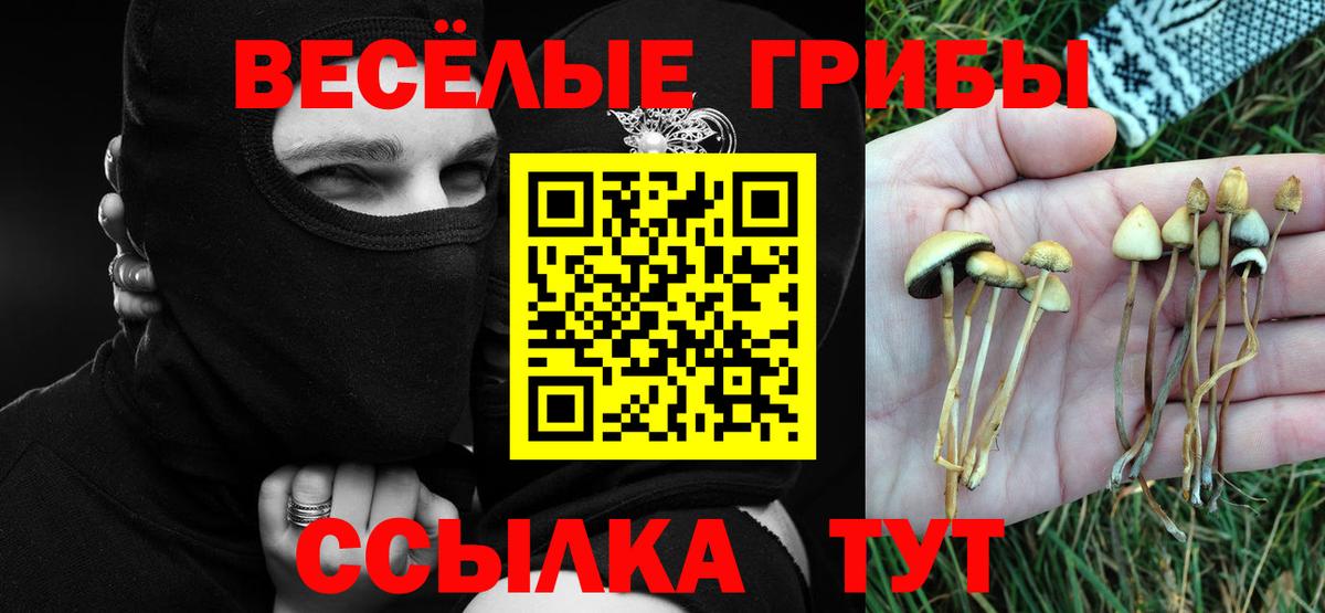Псилоцибиновые грибы прущие грибы  Вход с VPN  купить наркотик  Химки  Галлюциногенные грибы Cubensis 